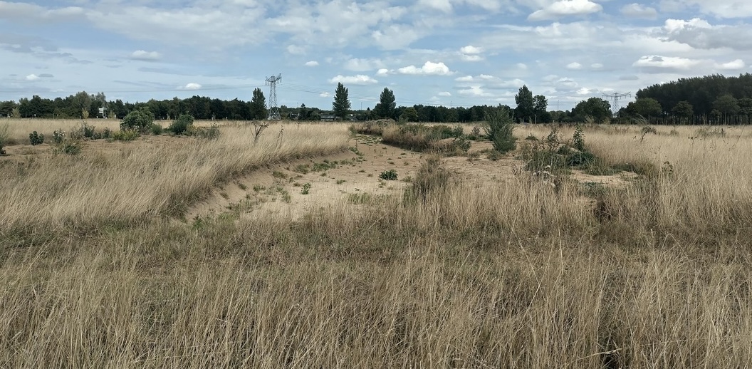voedselbos
